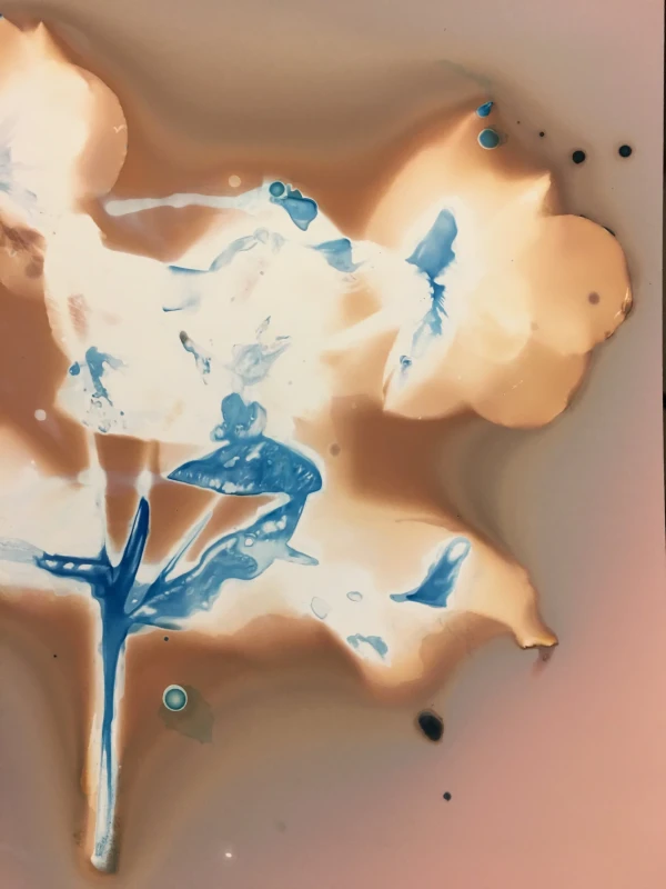 Untitled, cyanotype print