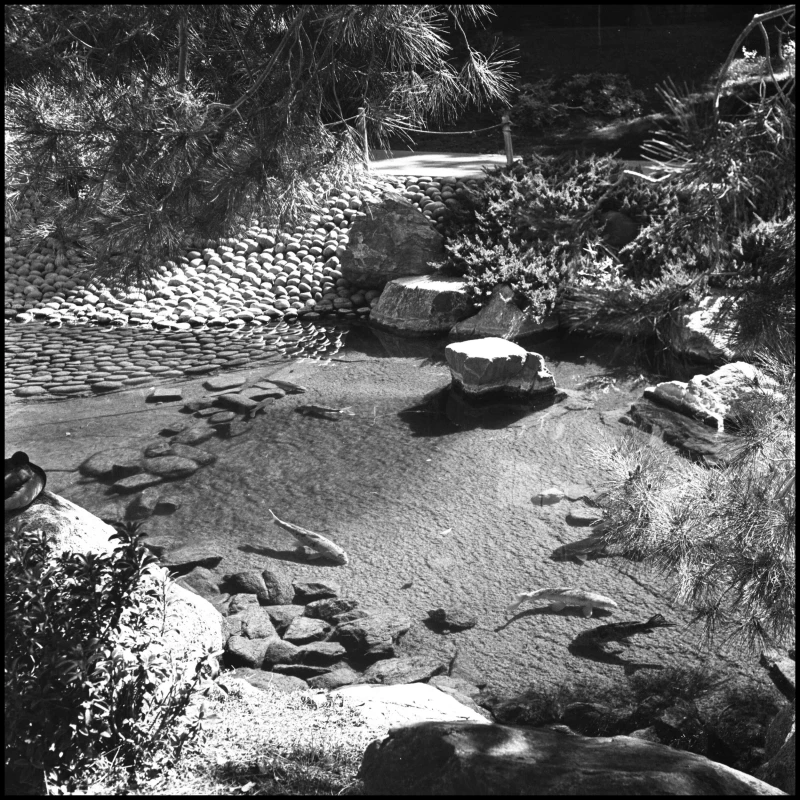 Untitled photograph