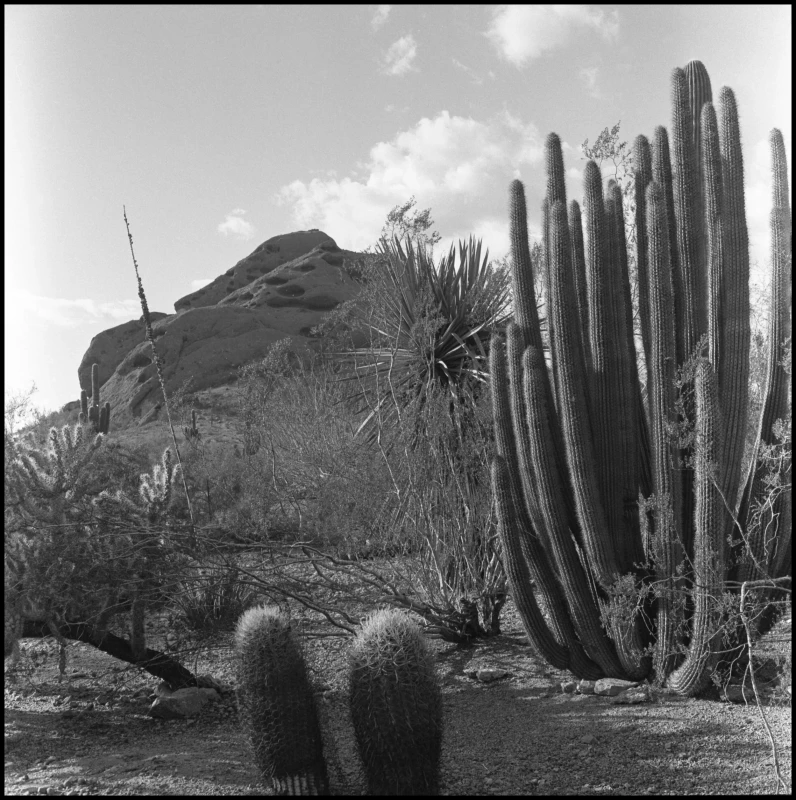 Untitled photograph