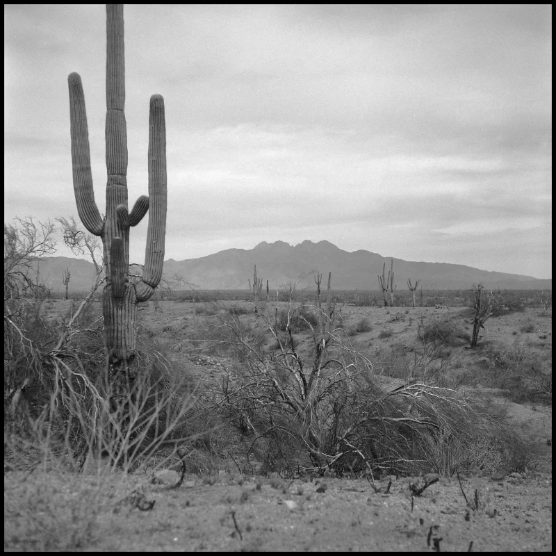Untitled photograph