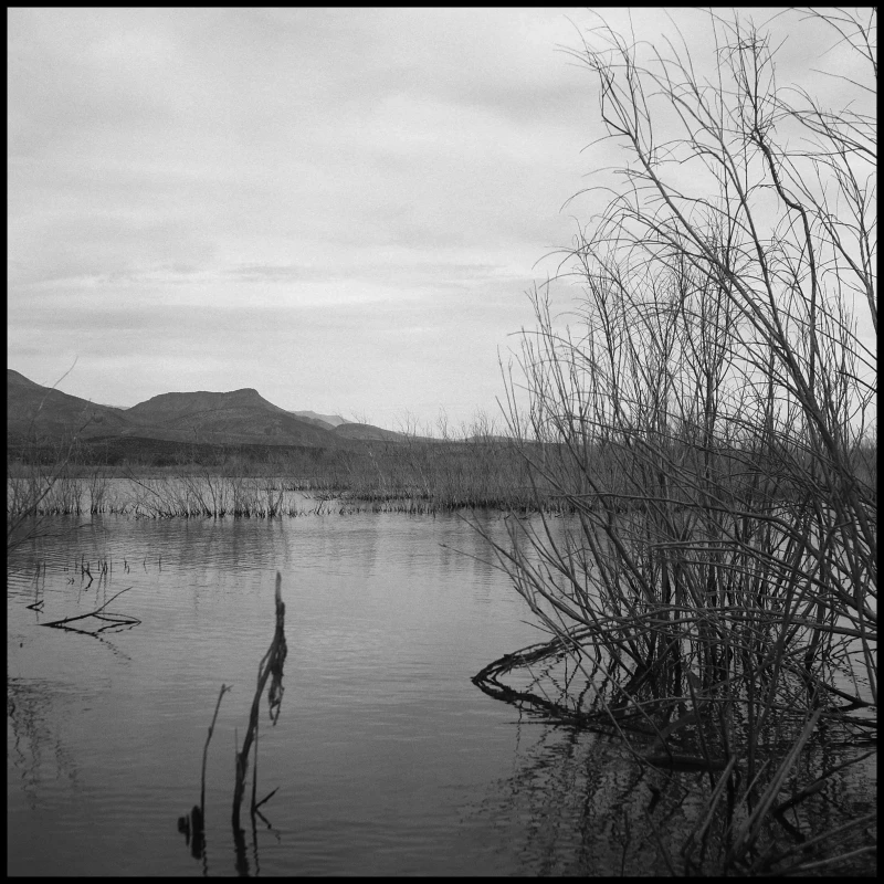 Untitled photograph