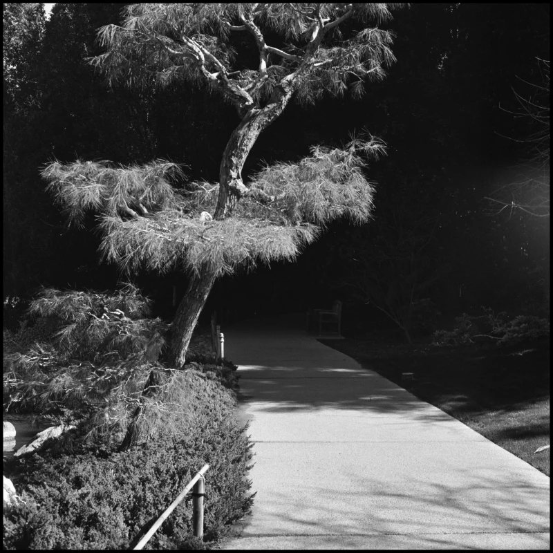 Untitled photograph