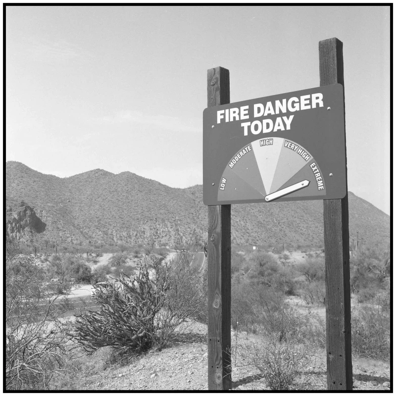 Untitled photograph