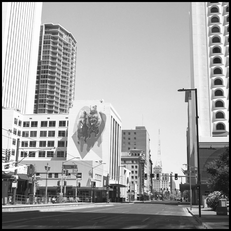Untitled photograph