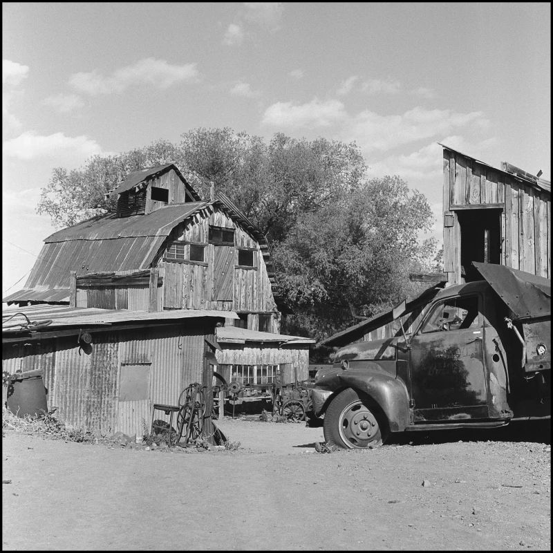 Untitled photograph