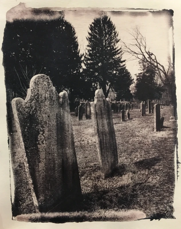 Untitled, cyanotype print