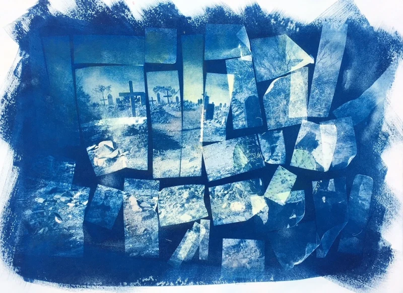 Untitled, cyanotype print