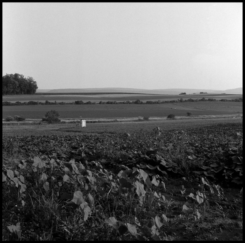 Untitled photograph