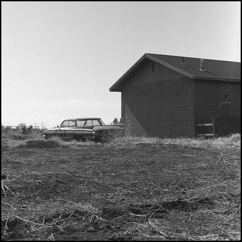 Untitled photograph