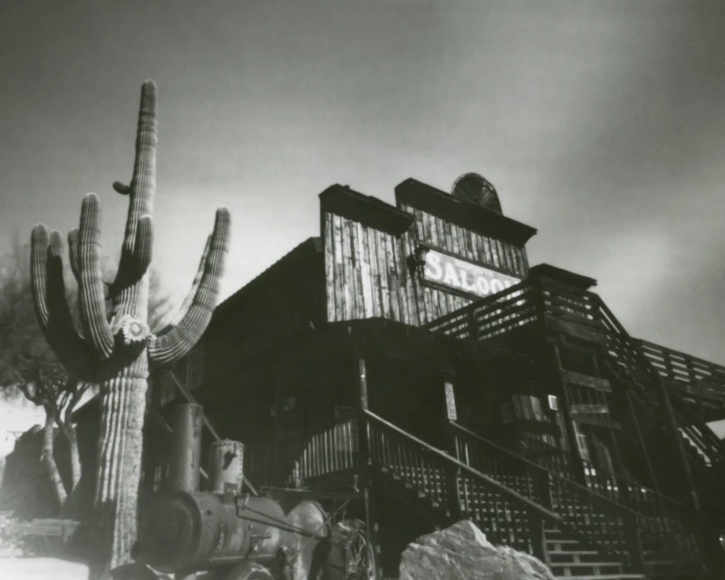 Saloon Cactus, pinhole print