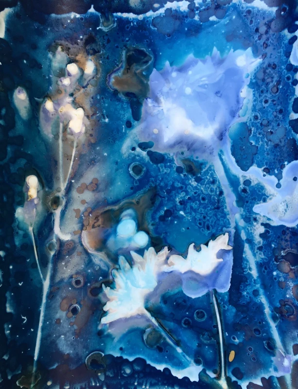 Wet Cyanotype Flower, cyanotype print